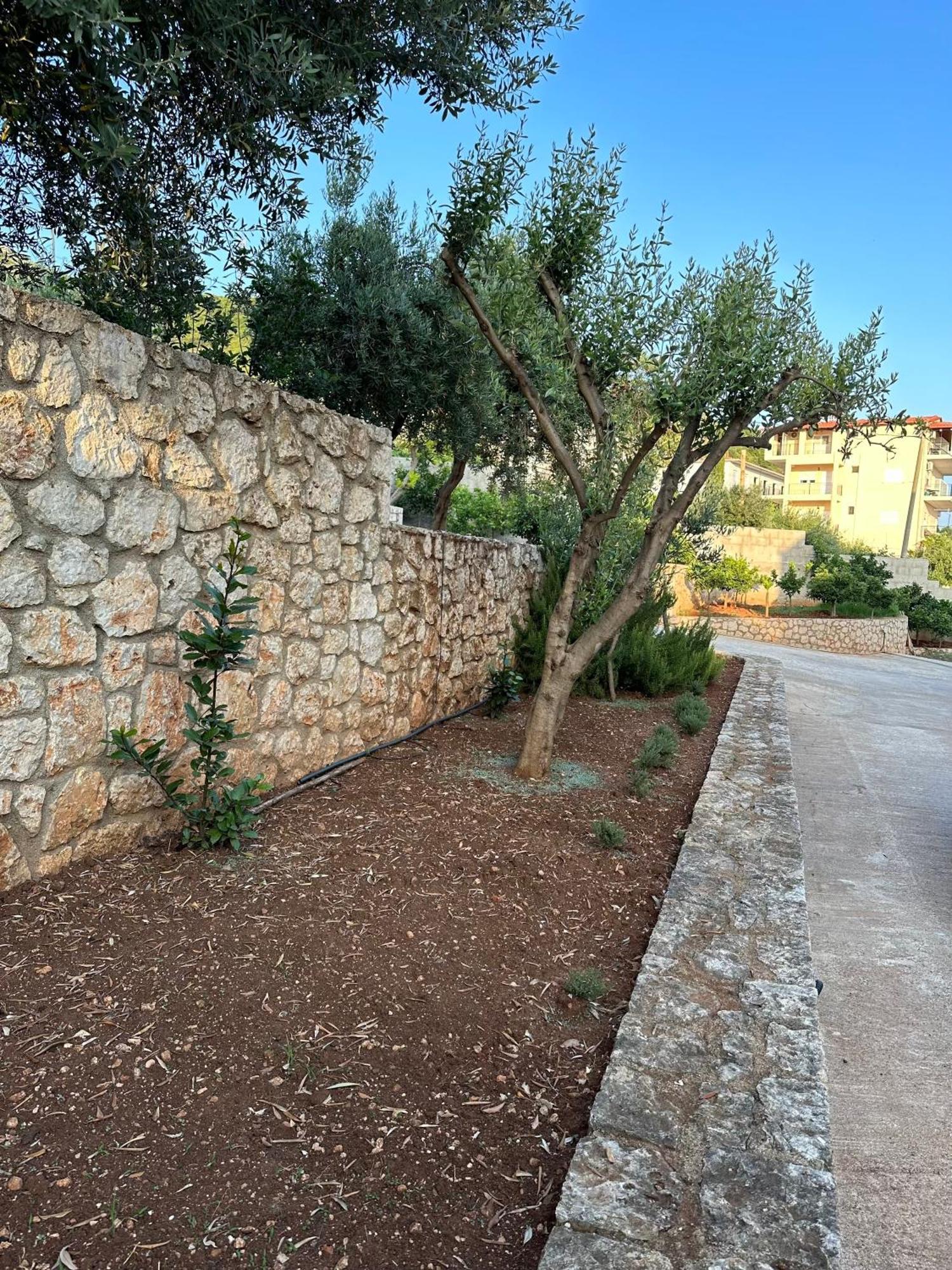 Dima Vista Hotel Dhermi Exterior photo